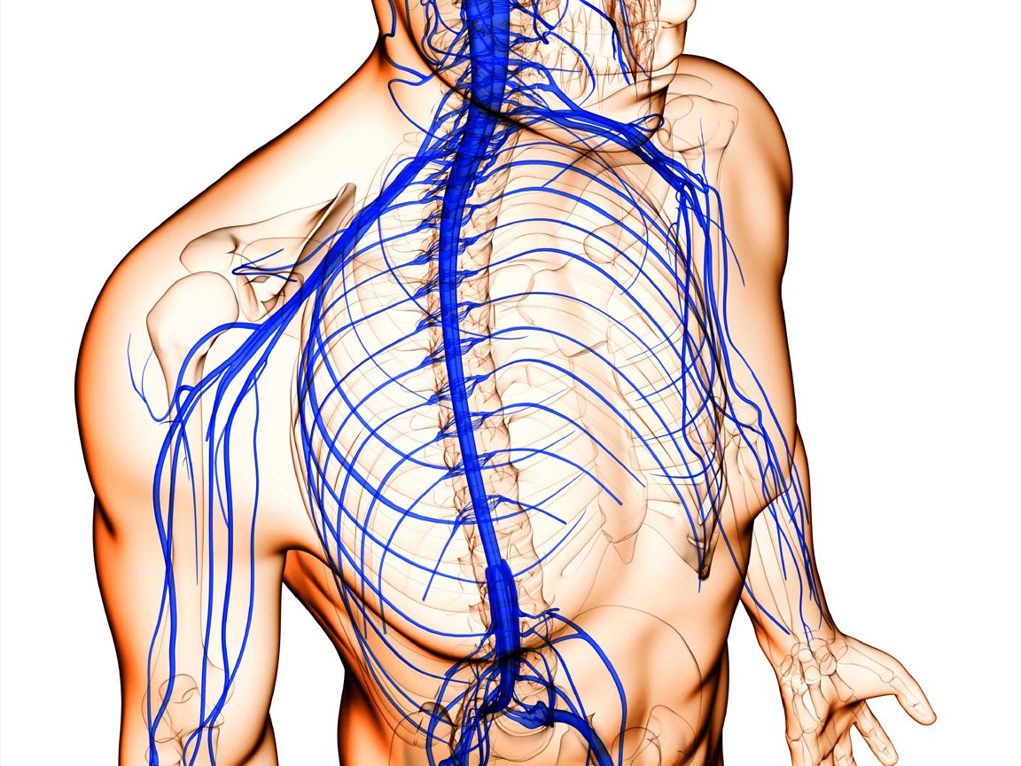 Neurologic Rehabilitation